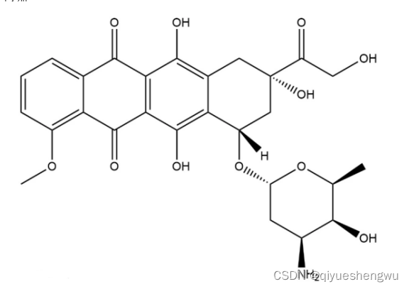 羧基化的量子点(CdTe-COOH-PEG)偶联1-(3-二甲氨基丙基)-3-乙基碳二亚胺(EDC)抗体