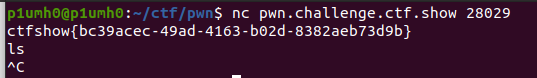 PWN-PRACTICE-CTFSHOW-1