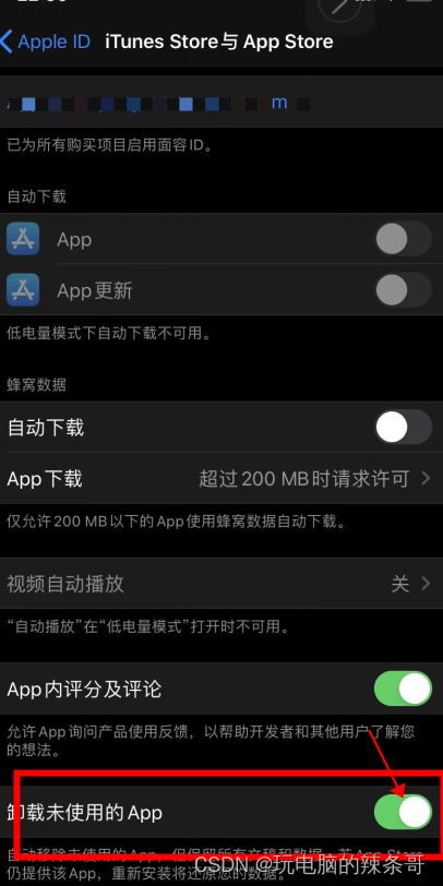 苹果手机桌面APP带云图标有个箭头，过一段时间经常要下载才能使用APP