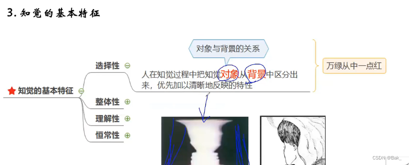 4.1.1 认知过程之感觉和知觉【理解】-CSDN博客