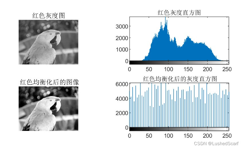 彩色图像灰度均衡化-CSDN博客