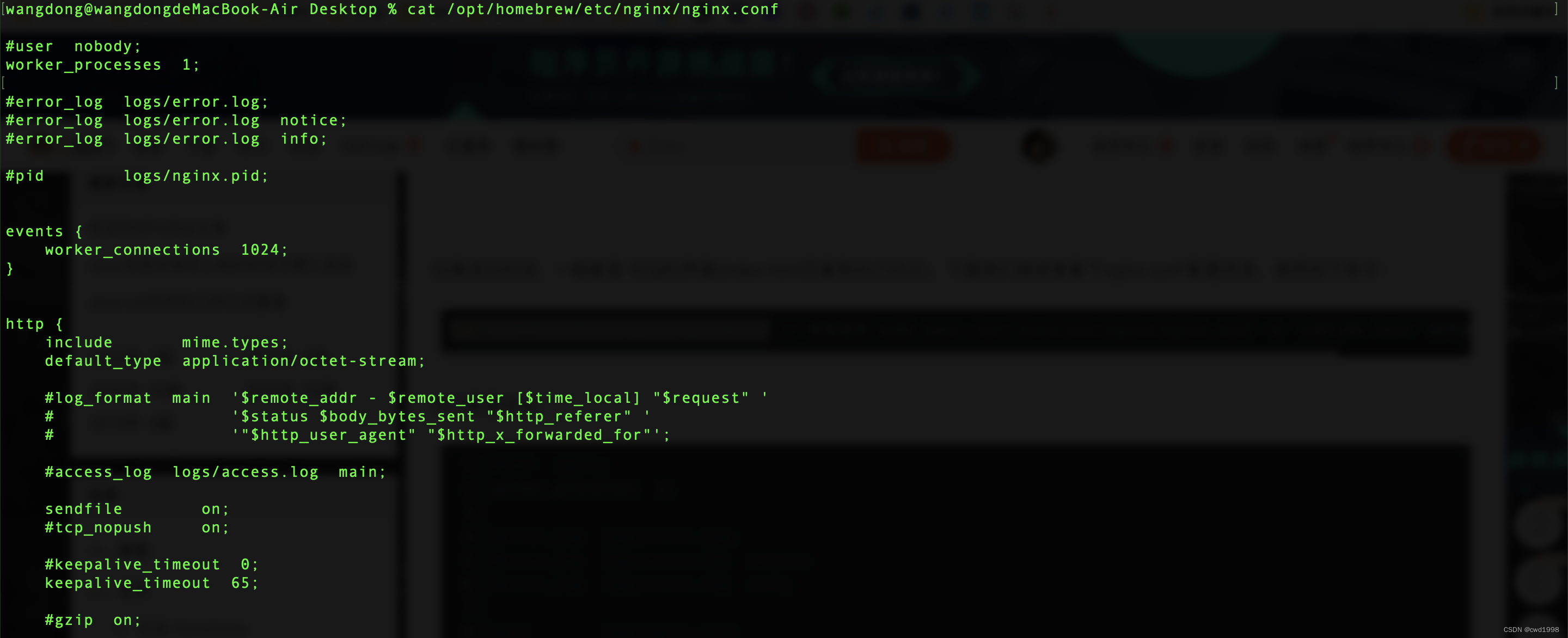 cat /opt/homebrew/etc/nginx/nginx.conf