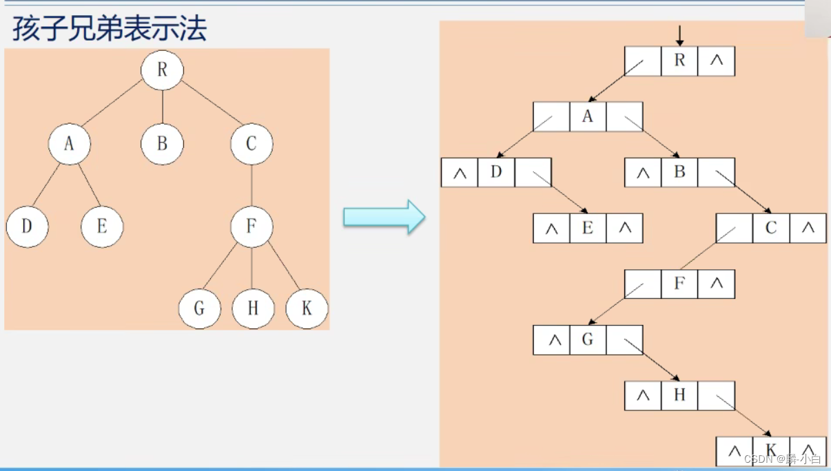 【数据结构】· 树和森林_森林和树 计算机-CSDN博客