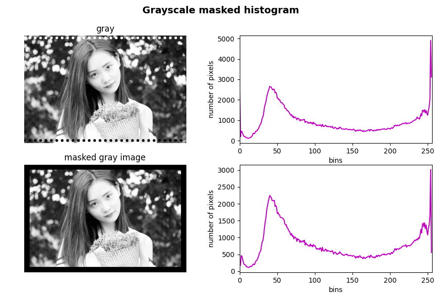 带有蒙版的灰度直方图