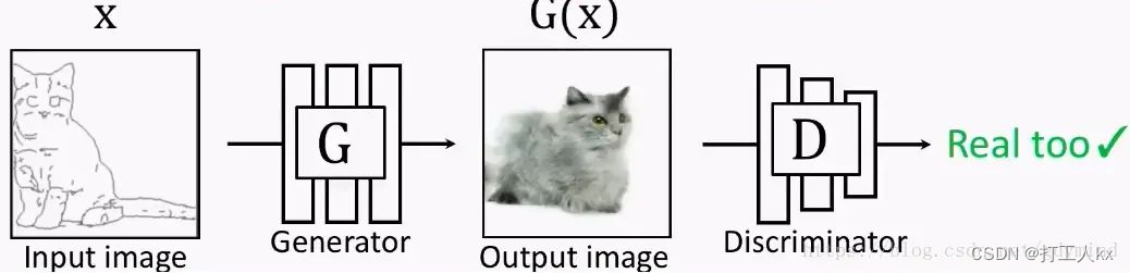 错误输出，虽然生成器学习到输入数据集“猫”的像素概率分布，但是明显形态与输入不同