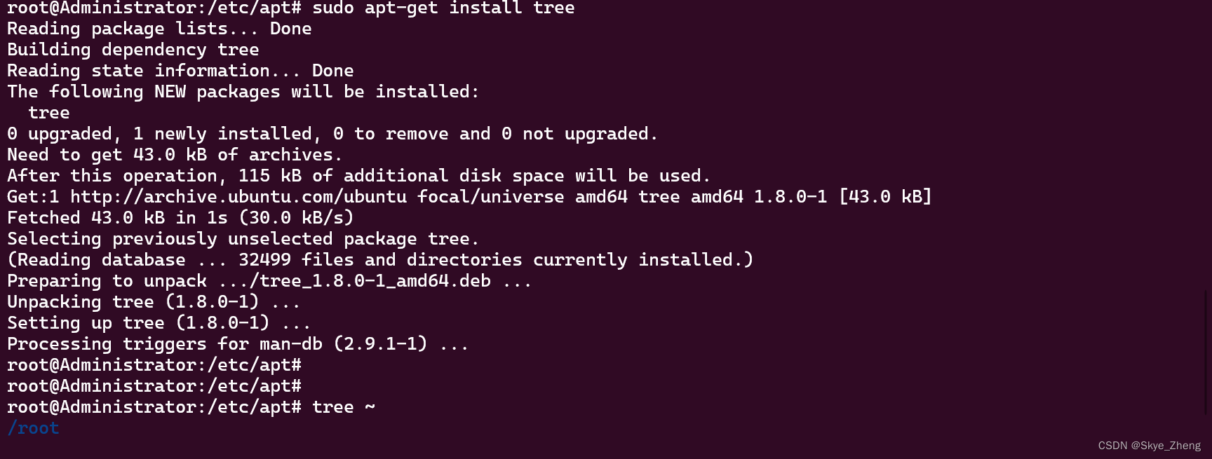解决WSL2/ubuntu安装软件报错 E: Invalid operation insatll 问题