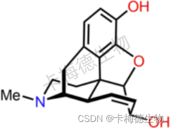 药物滥用第三篇介绍