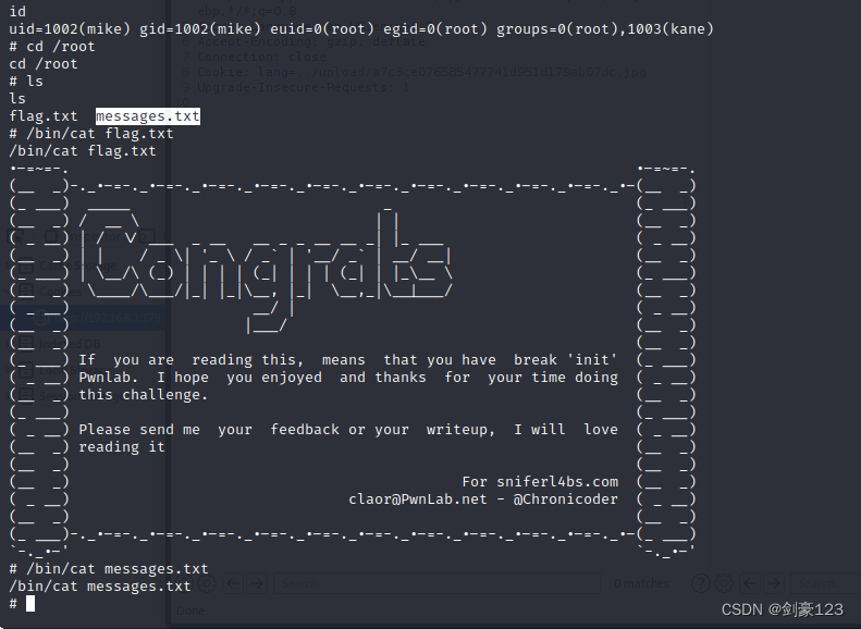 Vulnhub靶机PWNLAB：INIT writeup