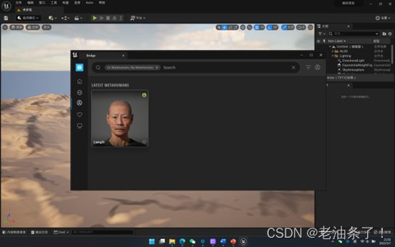 虚拟人初步创建、简单调整面部与导入虚幻引擎_meathuman-CSDN博客