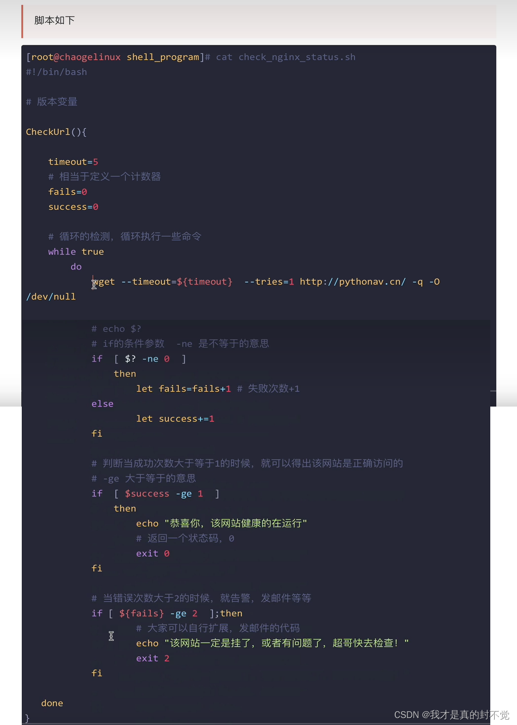 Shell最全笔记 就决定用你了