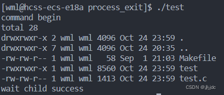 认识环境变量和进程替换，实现一个简易的shell