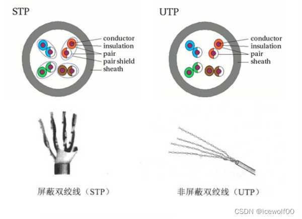 双绞线结构图