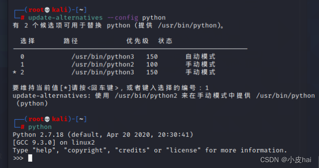 Linux中同时安装多个python版本，进行版本切换_liux同时安装python3.8.5和python3.8.10指定版本运行-CSDN博客