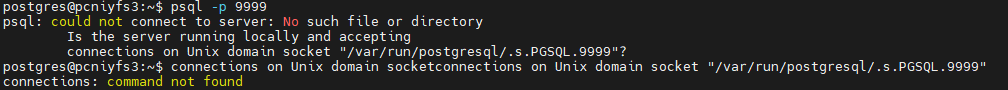 postgresql-pgpool-socketconnections-on-unix-domain-socket-var