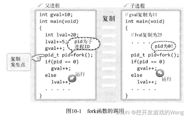 [C++ 网络协议] 多进程服务器端