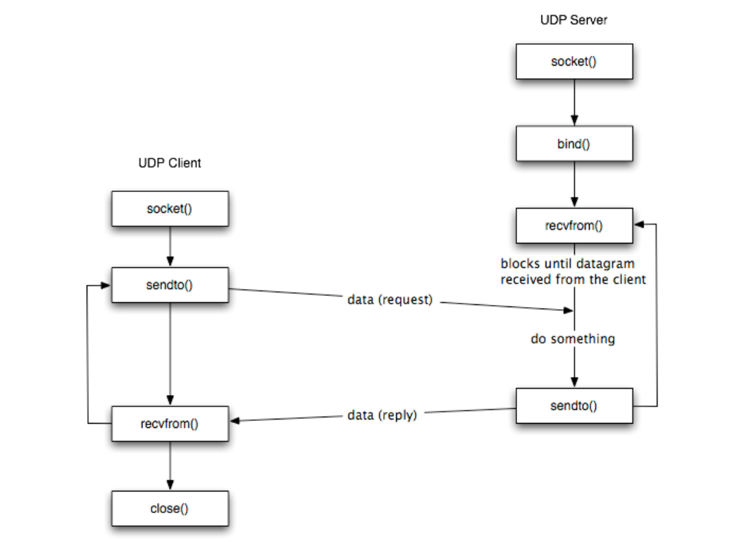 Commonly used I/O functions for network programming - Programmer Sought