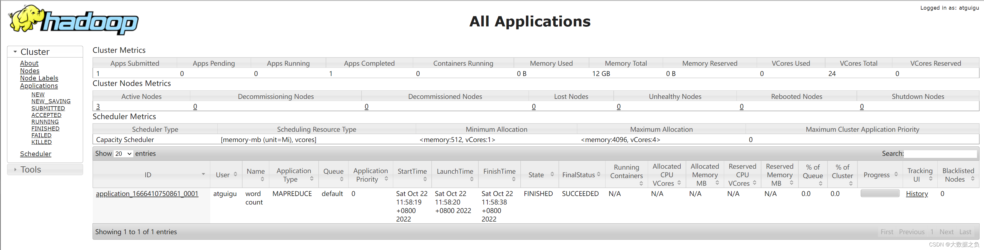 大数据—Hadoop（十六）_ Yarn_02、命令行操作和核心参数配置_hadoop如何查看每个application占用的资源CSDN博客