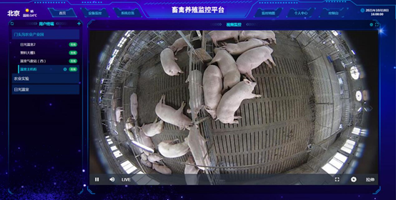智能养殖系统视频监控