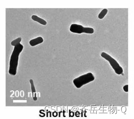 装载CHIR99021及FGF1的PLGA纳米颗粒|(MePEG-PL-GA)纳米粒