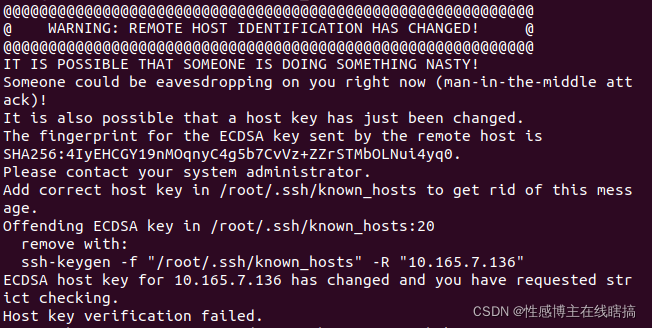 Linux】Warning: Remote Host Identification Has Changed 解决方法_Warning: Remote  Host Identification Has Changed!_性感博主在线瞎搞的博客-Csdn博客