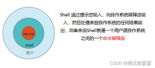 Linux Shell脚本入门到实战详解_linux中,if [ -d $dir]是什么意思-CSDN博客