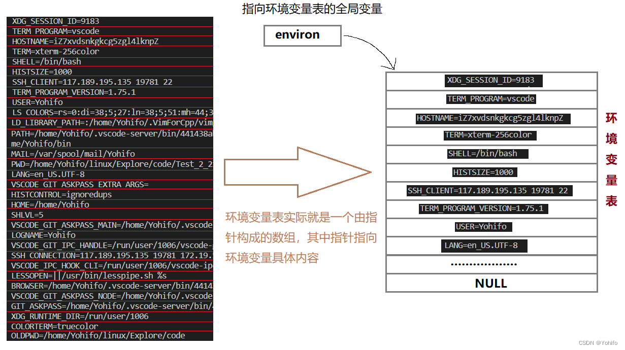 指针数组