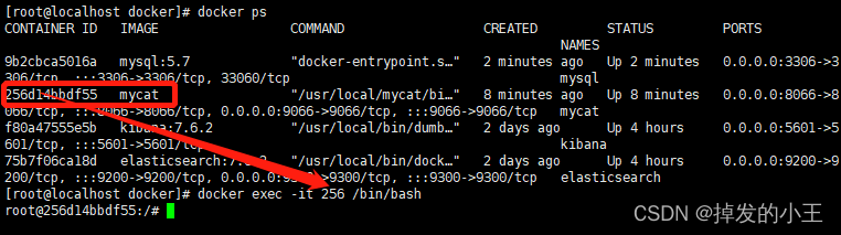 #冲刺创作新星#Docker安装Mycat和Mysql进行水平分库分表实战-开源基础软件社区