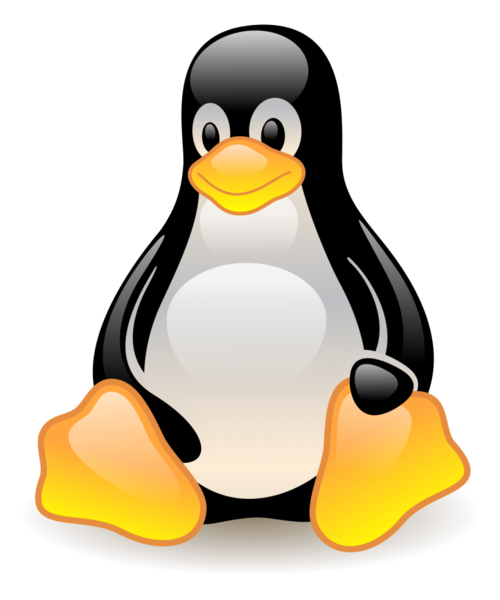 Linux与Windows：操作系统的比较与技巧分享
