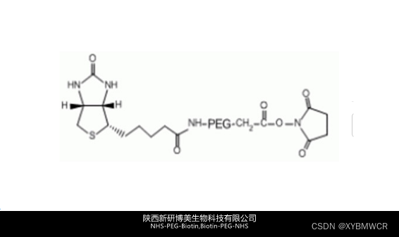 NHS-PEG-Biotin,Biotin-PEG-NHS,活性酯peg生物素生物素PEG衍生物