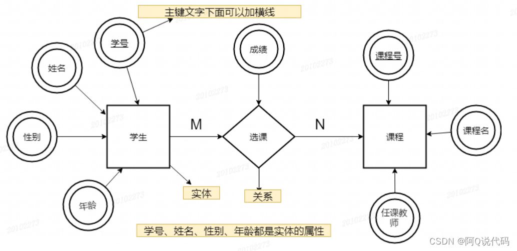 ER-Diagramm der Verbindung zwischen Studierenden und Lehrveranstaltungen