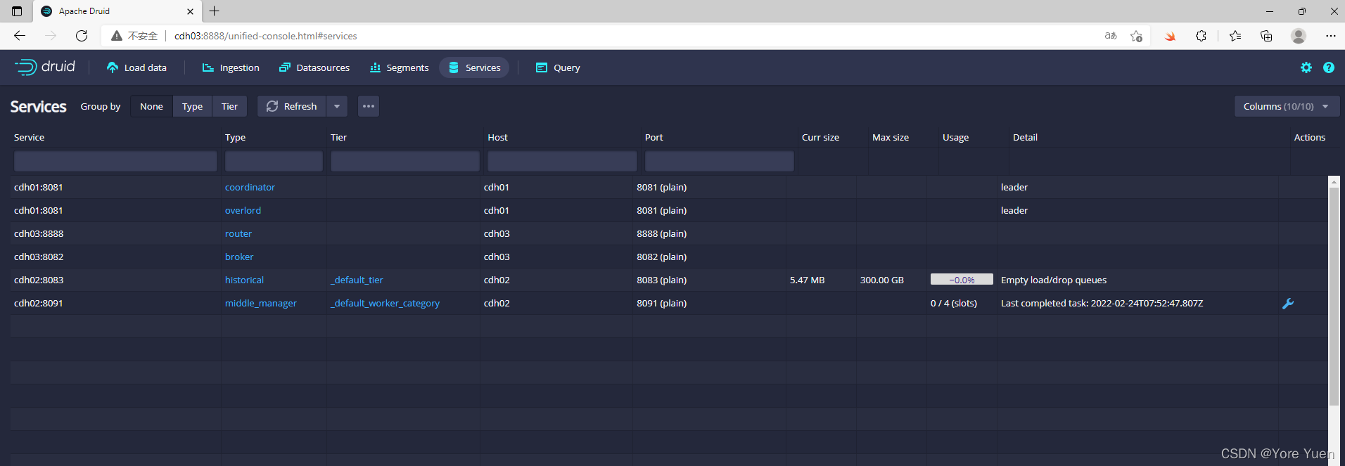 druid-cluster services