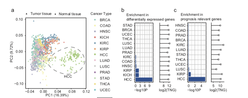 泛癌分析·找出各个癌症的预后相关基因