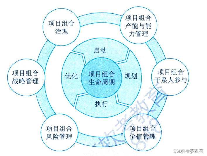 项目组合管理绩效域