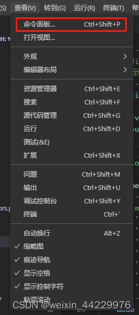 VScode配置远端服务器深度学习项目