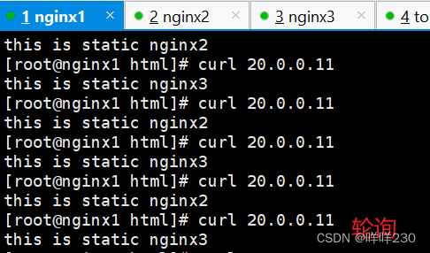 tomcat、nginx实现四层转发+七层代理+动静分离实验