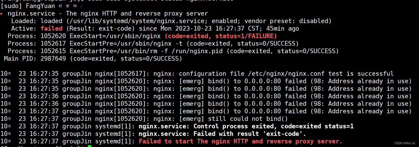 Failed to start The nginx HTTP and reverse proxy server.