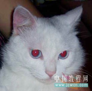 数字图像处理红眼去除python