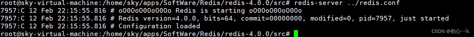 Redis | 安装Redis和启动Redis服务