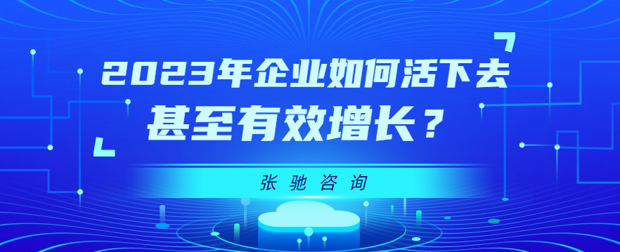 张驰咨询2023年企业如何活下去、甚至有效增长？