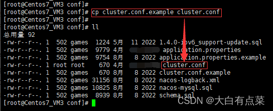 在 nacos/conf 目录下，将 cluster.conf.example 复制并重命名为 cluster.conf