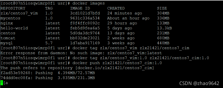 Docker之发布自己的镜像