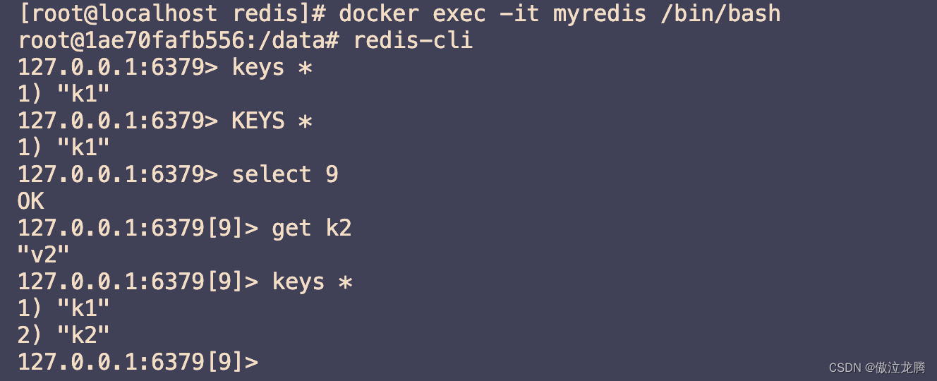 在Centos Stream 9上Docker的实操教程（三） - Docker容器数据卷