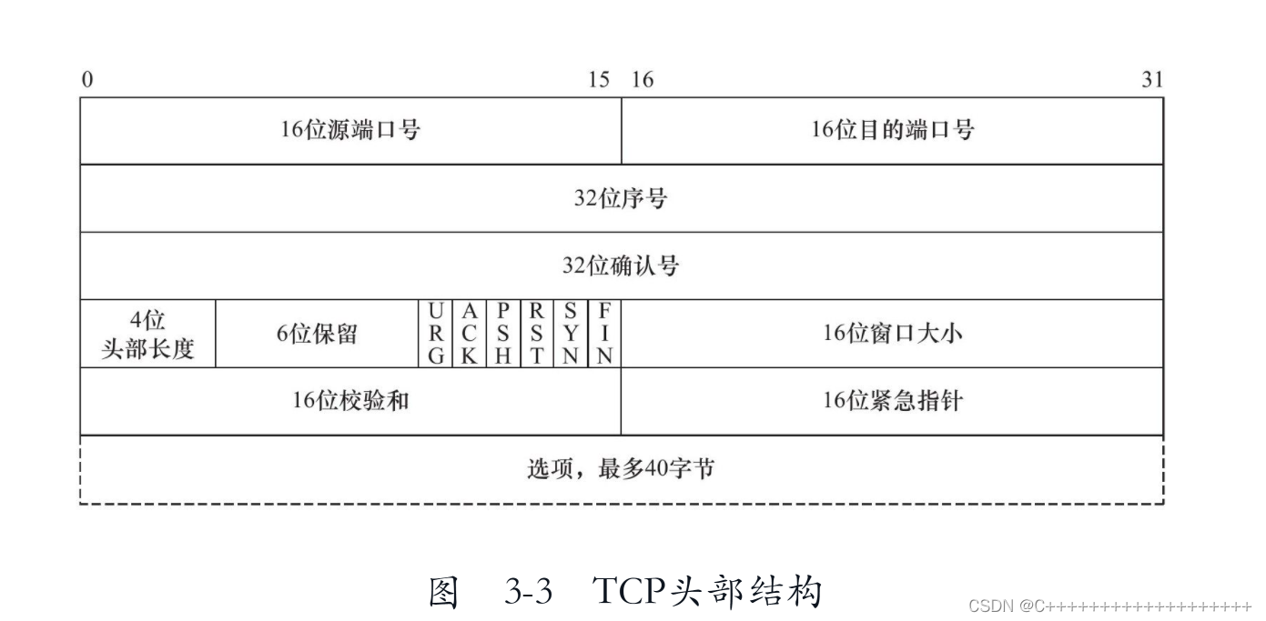 TCP头部结构 https://img-blog.csdnimg.cn/49b260c92fc748d88d484c2ee59a338a.png?x-oss-process=image/watermark,type_d3F5LXplbmhlaQ,shadow_50,text_Q1NETiBAQysrKysrKysrKysrKysrKysrKys=,size_20,color_FFFFFF,t_70,g_se,x_16