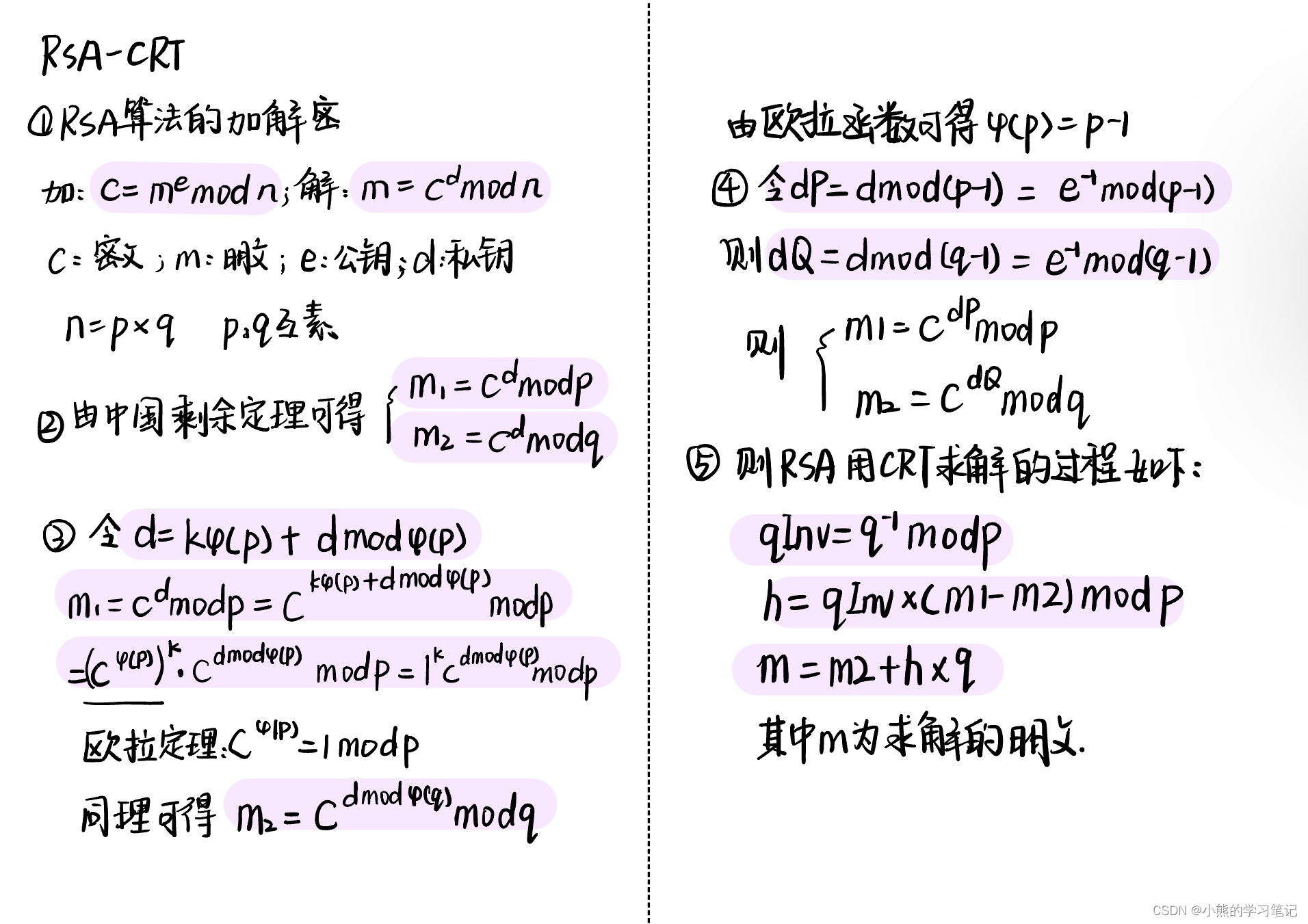 Deciphering the RSA Algorithm Using the Chinese Remainder Theorem