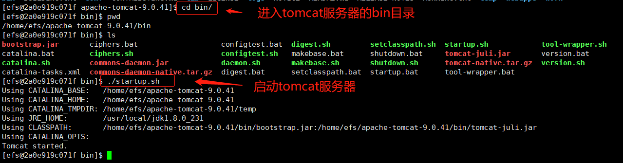 "Ali Cloud Server" ------ Install Tomcat - Programmer Sought