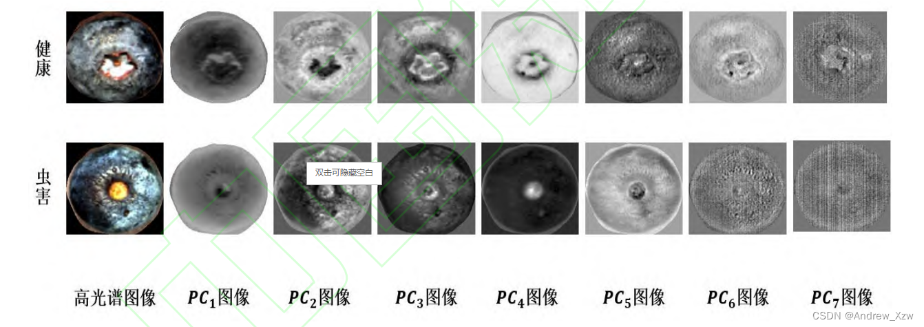 PCA方法降维结果