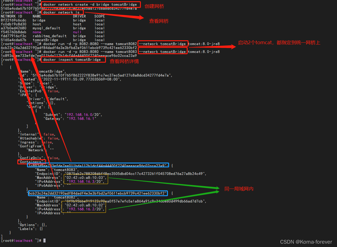 docker-network网络