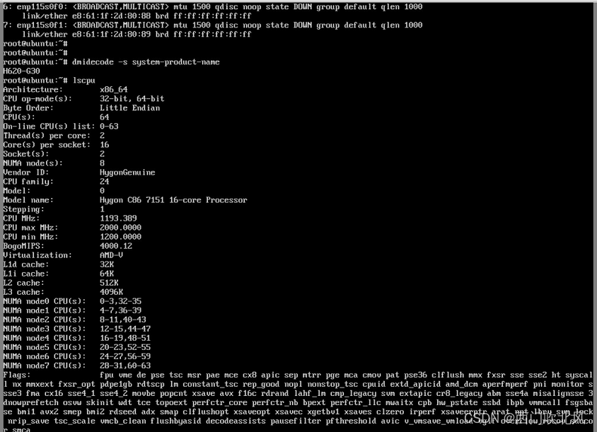 server|海光|hygon|c86|7151服务器配置Raid1安装ubuntu18.04.3(图17) server|海光|hygon|c86|7151服务器配置Raid1安装ubuntu18.04.3(图17)