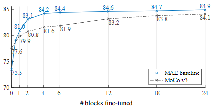 一文解读Masked Autoencoder(MAE)-CSDN博客