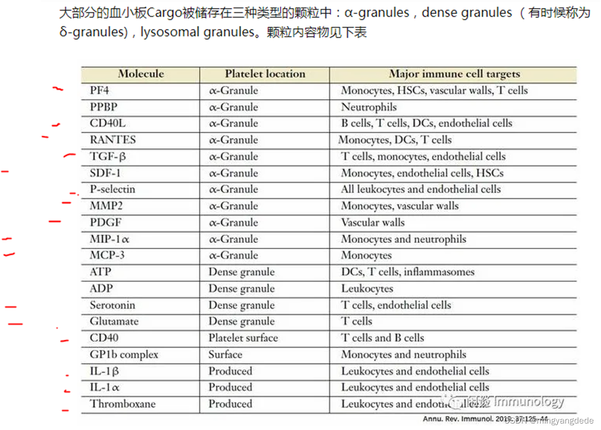 integrin + Receptor ； platelet ； Ig-CAM